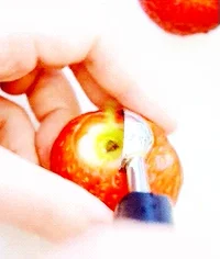 Fruit GIF