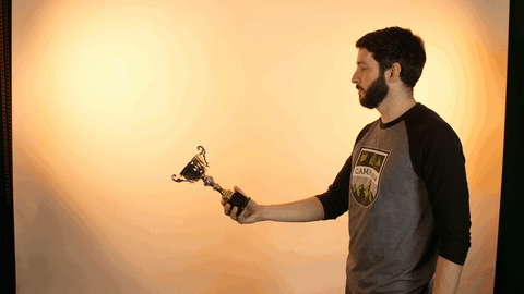 winner win GIF