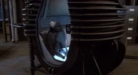 The Fly Teleportation GIF