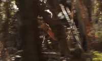 Alicia Vikander Adventure GIF by Tomb Raider