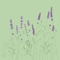 Relax Spring GIF by Nazaret Escobedo