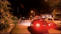 Firework GIF