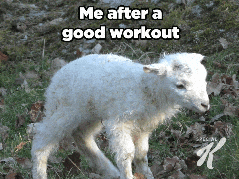 Workout Gym GIF by Special K