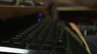 Bird Lol GIF by Odd Creative