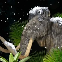 Winter Dominos GIF by Domino's Pizza