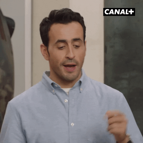 Humour Lol GIF by CANAL+
