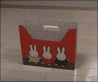 Fail Too Big GIF