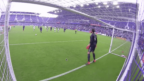 soccer club GIF by Orlando City SC