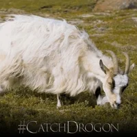 Game Of Thrones Hbo GIF by Catch Drogon
