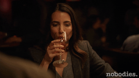 Drunk Tv Land GIF by nobodies.