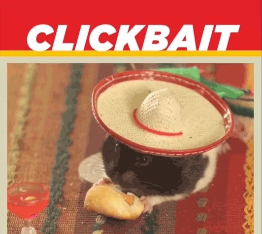 Seth Meyers Mouse GIF by Late Night with Seth Meyers