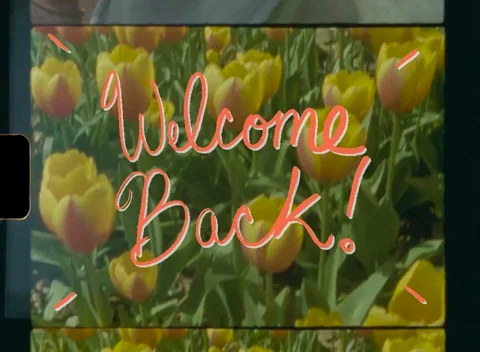 Welcome Home Film GIF by Jess