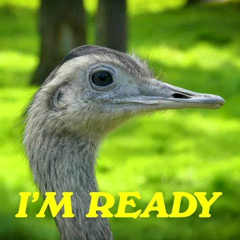 You Got This Lets Go GIF by Sealed With A GIF