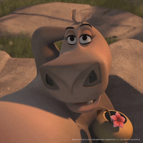 Jada Pinkett Smith Drinking GIF by DreamWorks Animation


inFlux English School: Qual é a diferença entre "to sip", "to drink" e "to chug" em inglês?