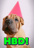 Celebrate Happy Birthday GIF by Sealed With A GIF
