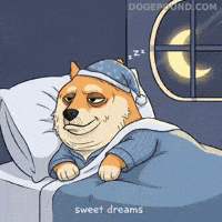 Tired Good Night GIF by Doge Pound
