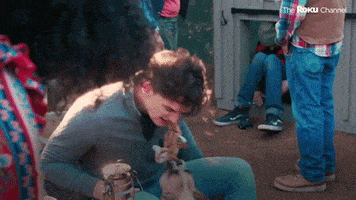 Barkitecture GIF by The Roku Channel