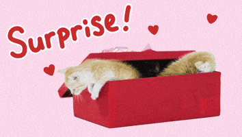 Animation Love GIF by Holler Studios