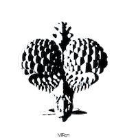 black and white 3d GIF by Miron