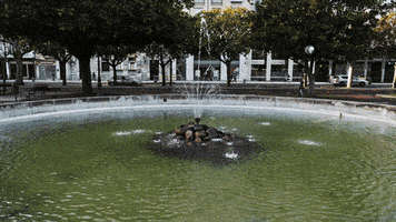 loop park GIF by A. L. Crego