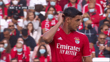 Sl Benfica Slbgif GIF by Sport Lisboa e Benfica