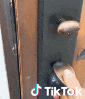 Dog Hello GIF by TikTok France