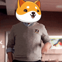 Fun Crypto GIF by Baby Doge Coin