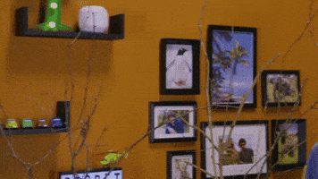 Ha Ha Lol GIF by CBeebies HQ