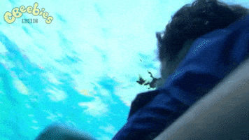 No Way Lol GIF by CBeebies HQ