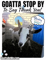 Thanks Thank You GIF by Goatta Be Me Goats! Adventures of Java, Toffee, Pumpkin and Cookie!