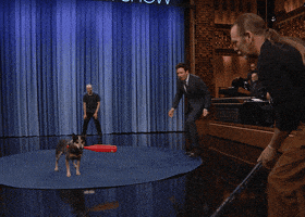 Tonight Show Wow GIF by The Tonight Show Starring Jimmy Fallon