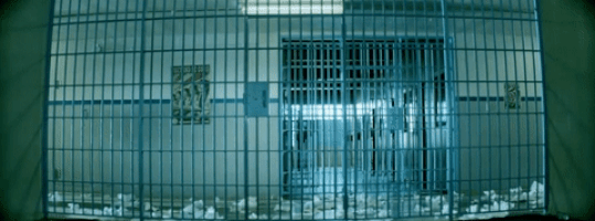 good girls GIF by 5 Seconds of Summer