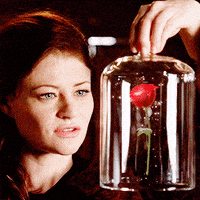 once upon a time belle GIF
