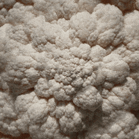 food porn wtf GIF by Feliks Tomasz Konczakowski