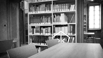 black and white art GIF by Okkult Motion Pictures