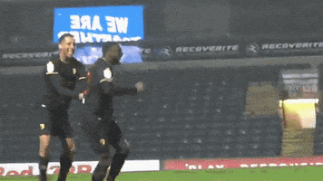 Celebrate Watford Fc GIF by Watford Football Club