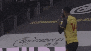 Watford Fc Celebration GIF by Watford Football Club