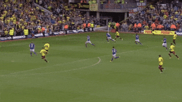 Watford Fc Sport GIF by Watford Football Club