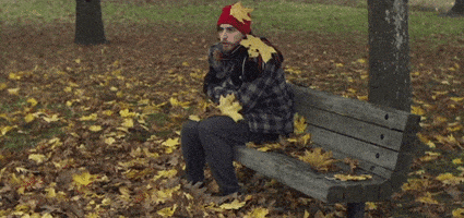 Fall Freezing GIF by IFHT Films