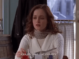 season 5 netflix GIF by Gilmore Girls 