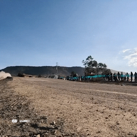 Giphy - Ford Wow GIF by FIA World Rally Championship