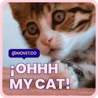 200.gif