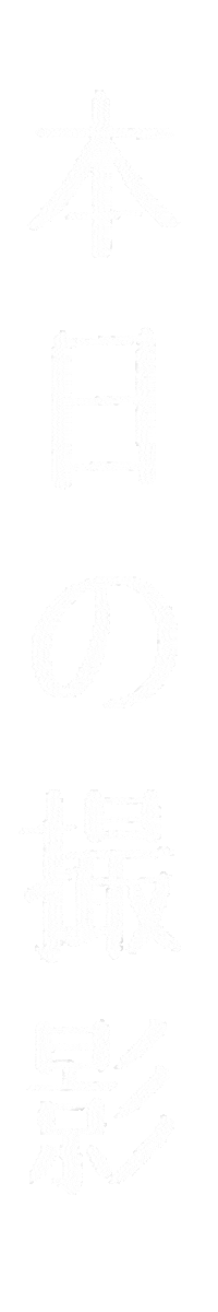 Camera カメラ Sticker