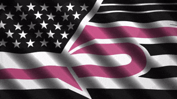 Flag Patriotism GIF by DC THE DON