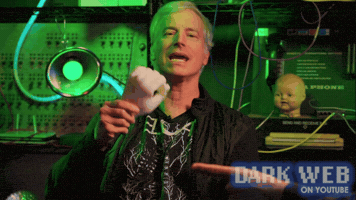 Paul Scheer Comedy GIF by Dark Web