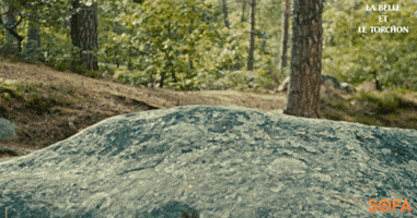 Forest Trees GIF by SOFA vod