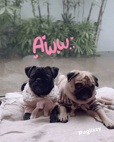 I Love You Valentine GIF