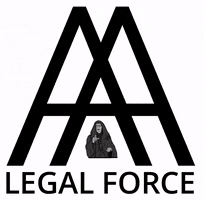 Law Firm Florida GIF by A LEGAL FORCE