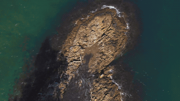 Canada GIF
