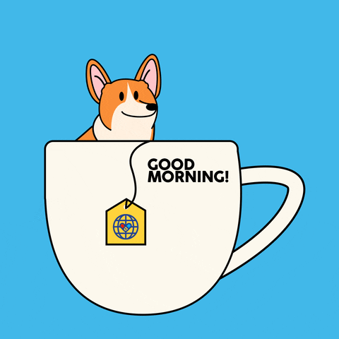 Good-morning-usa GIFs - Get the best GIF on GIPHY